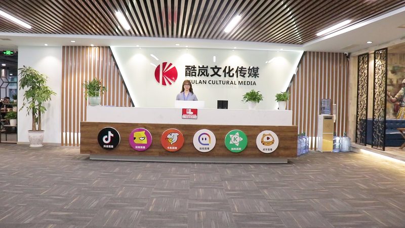 手持稳定拍摄设备：纪录片拍摄不可或缺的助手