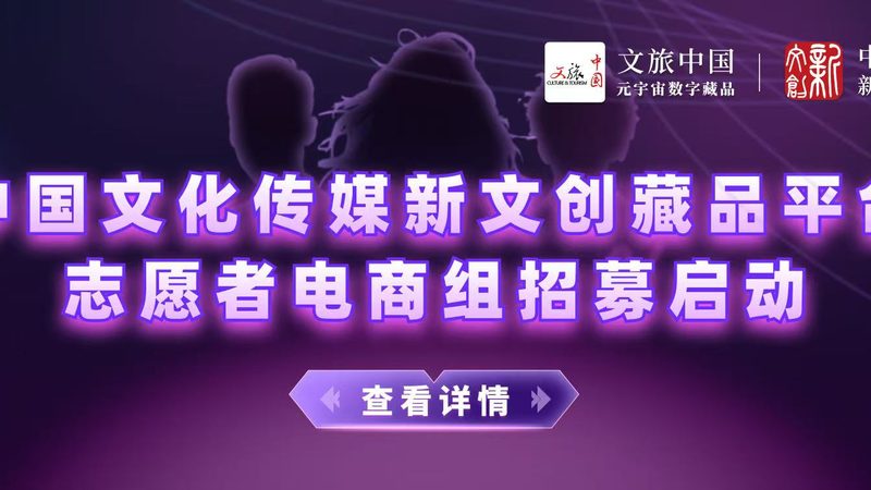 专业纪录片拍摄服务流程解析：揭秘幕后制作奥秘